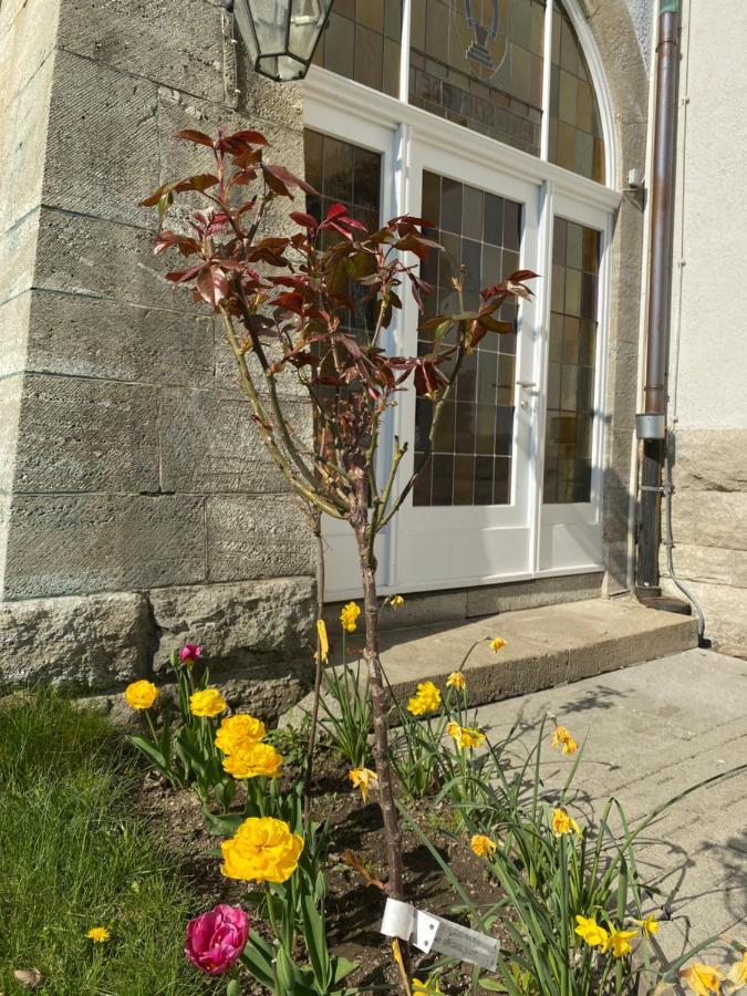 Parkhotel Бад Харцбург Екстериор снимка